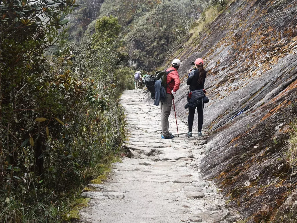 Inca Trail Discovery