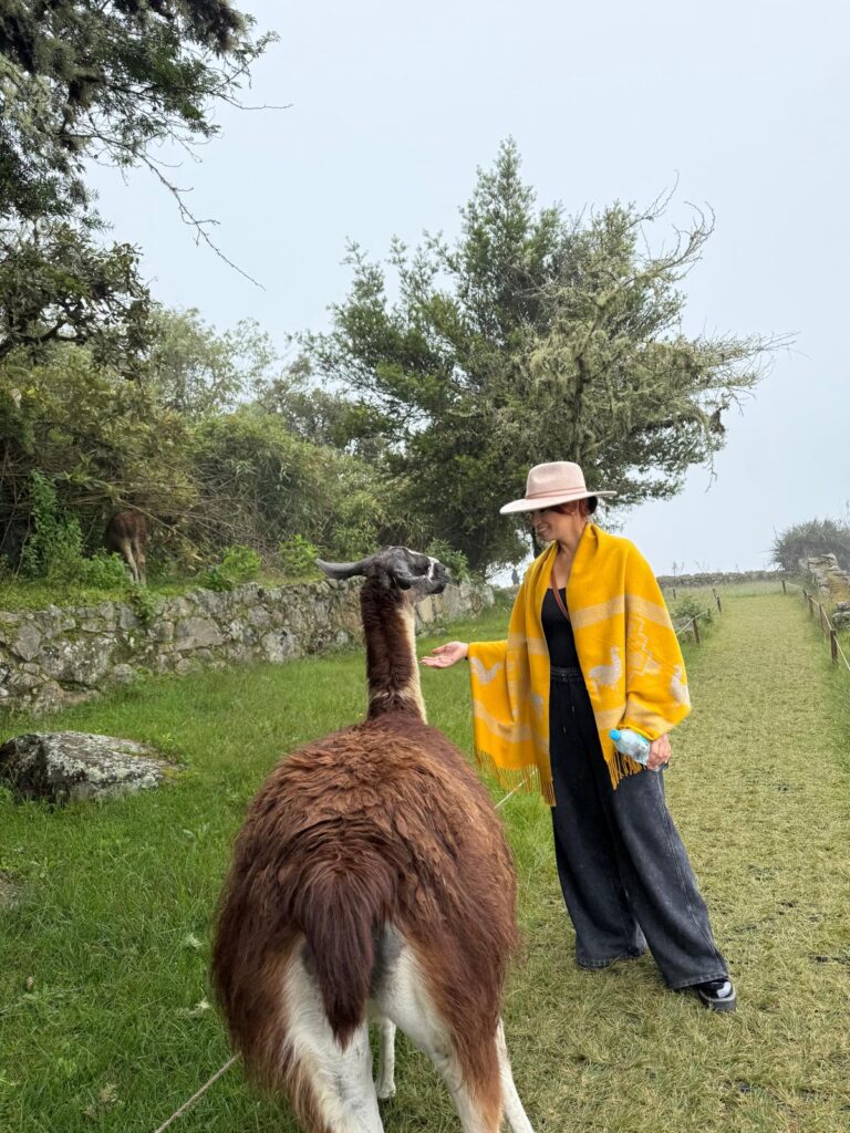 Peru Sacred Land