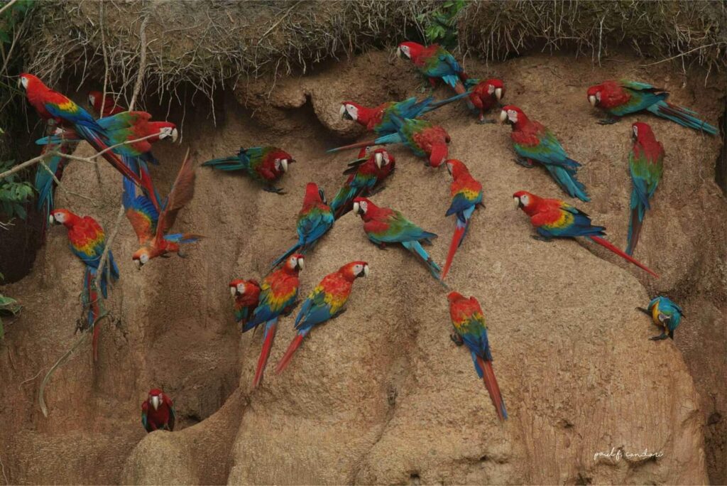 SUGGESTED EXPEDITION