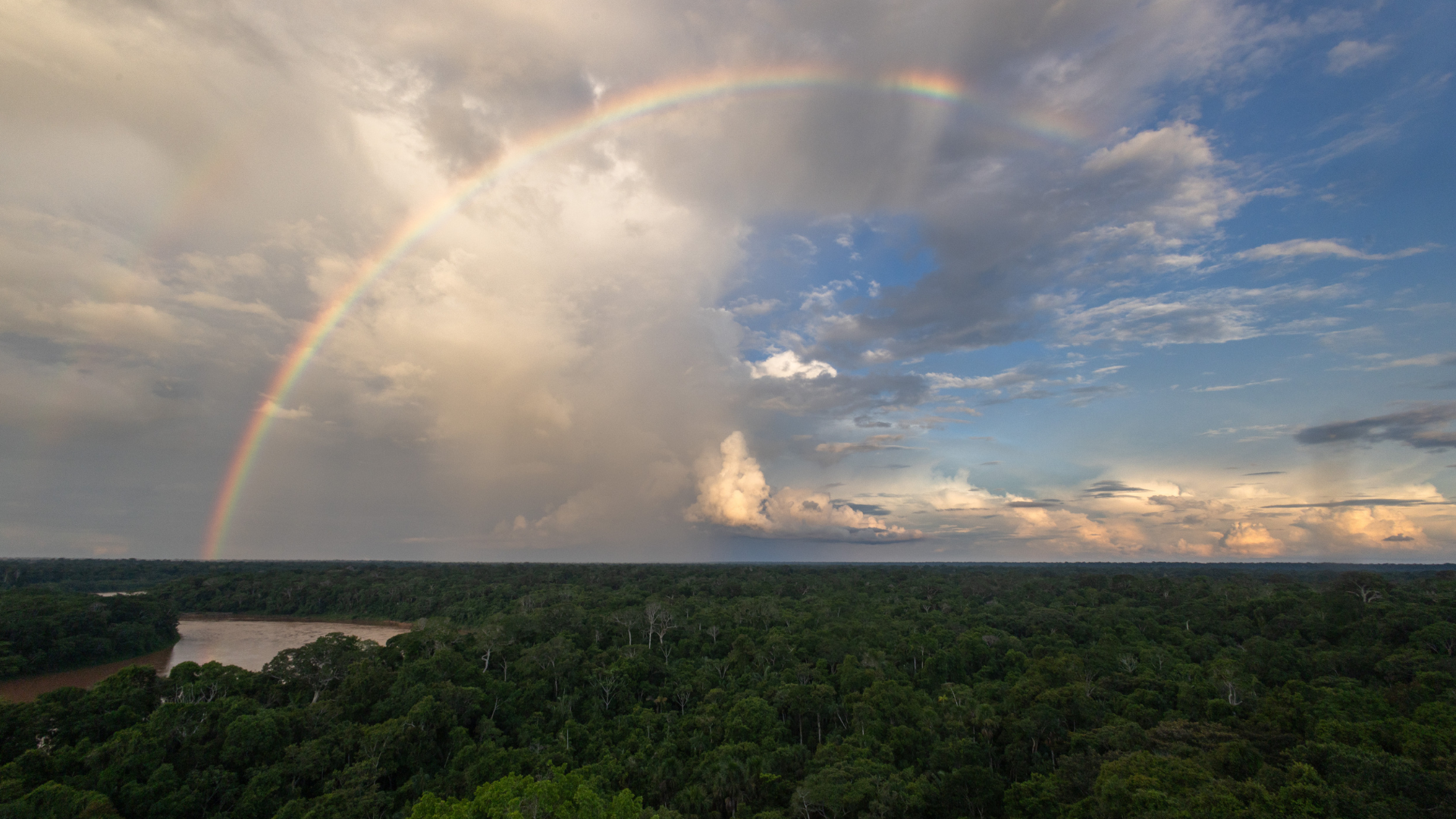 Amazon Rainforest view