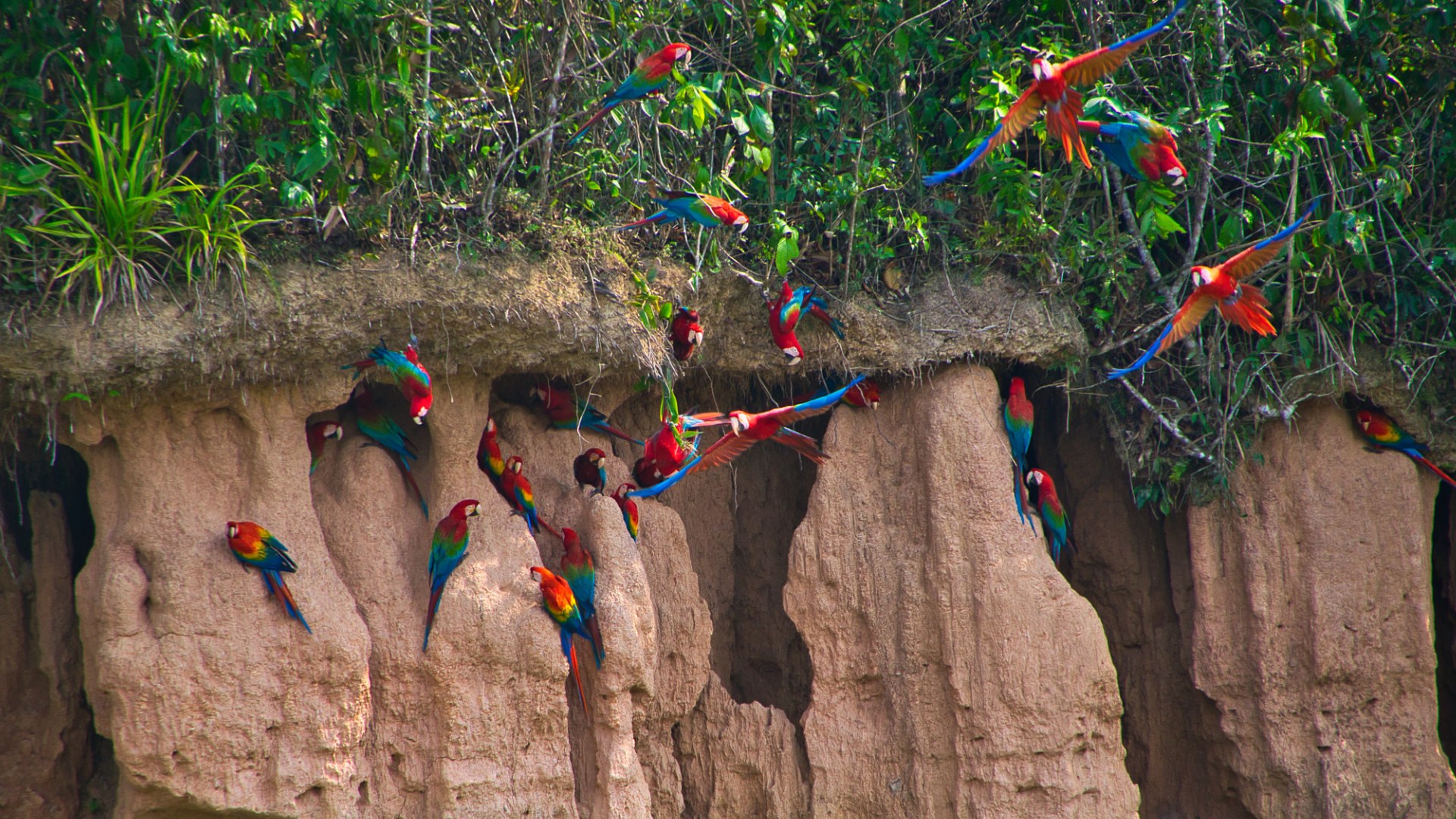 When to visit Peru for the Amazon Rainforest